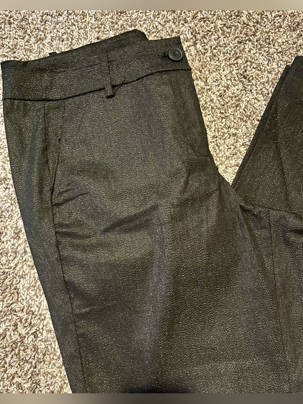 Lane Bryant Shimmery Dress Pants